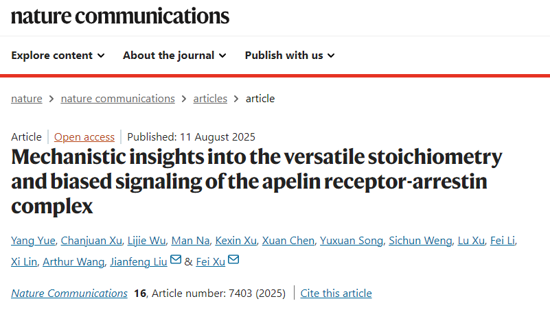 iHuman研究所徐菲团队解析心血管代谢药物靶点GPCR与arrestin二聚体复合物动态调控机制